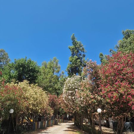 Camping Pitagora Rossano Exterior foto