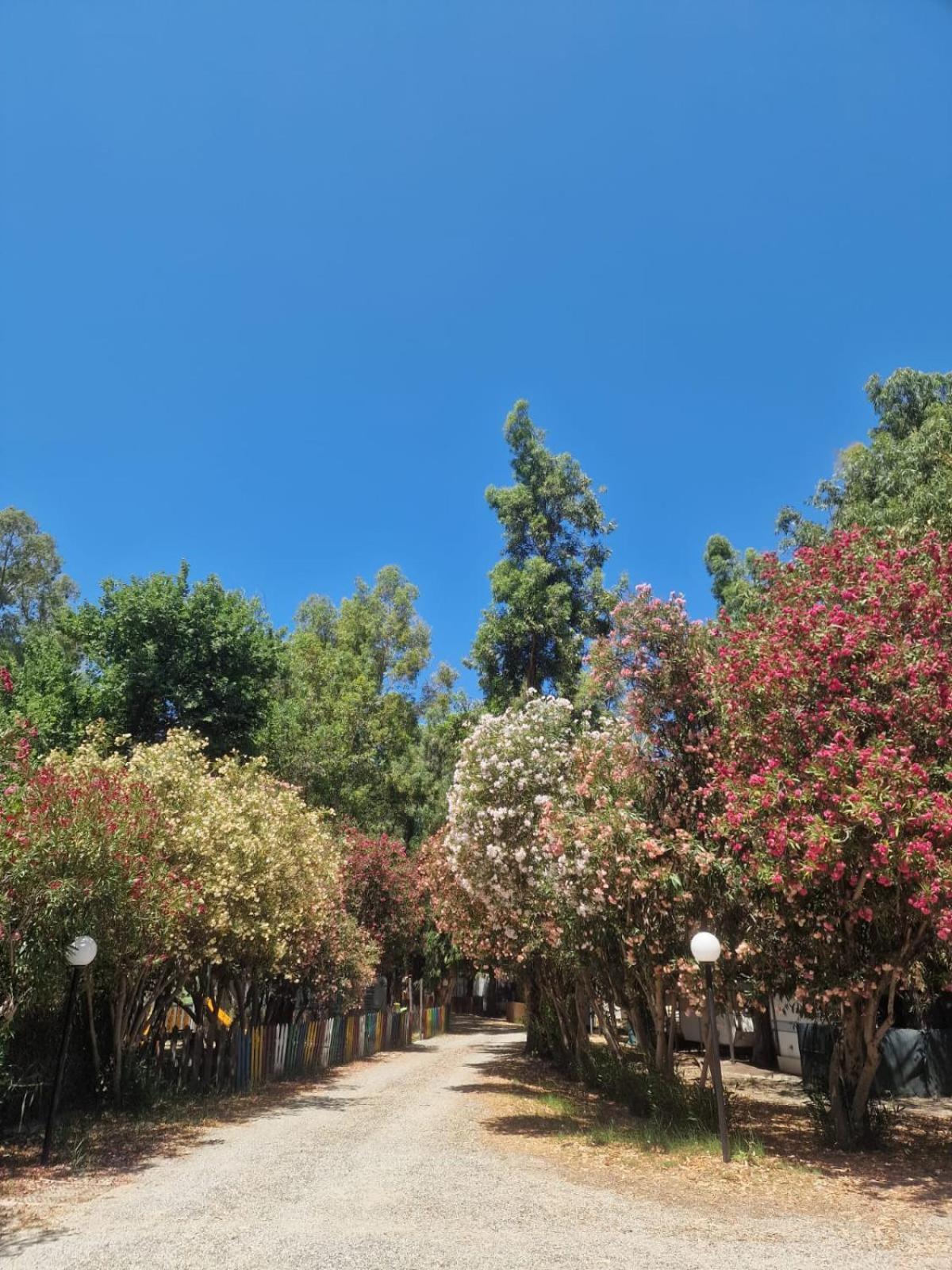 Camping Pitagora Rossano Exterior foto